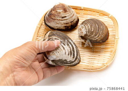 Rhhnkvcwvimmom Rhhnkvcwvimmom