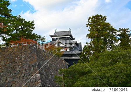 松江城 紅葉 秋 天守閣の写真素材