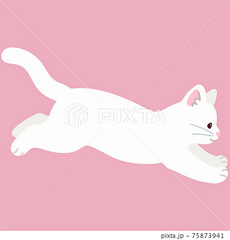 白猫のイラスト素材集 ピクスタ