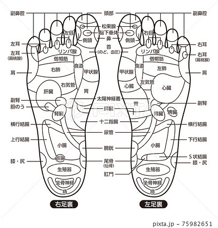 足つぼのイラスト素材