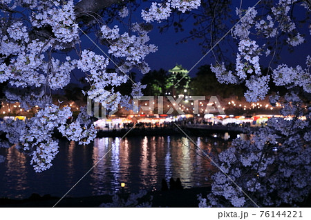 岡崎城 天守閣 夜景 ライトアップの写真素材