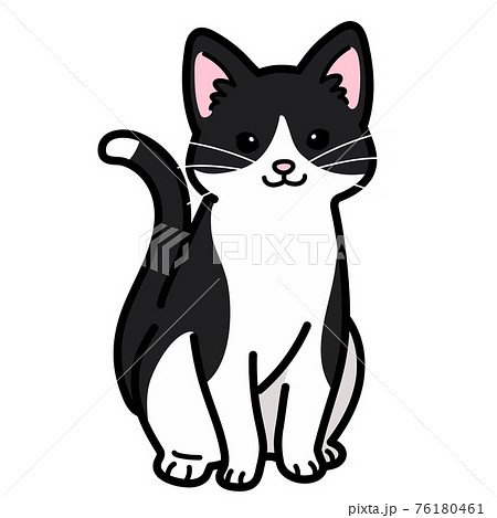 動物 猫 イラスト お座りの写真素材