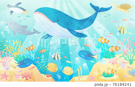海 魚 クジラ イルカのイラスト素材