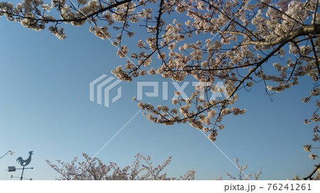 パソコン壁紙 青空の写真素材