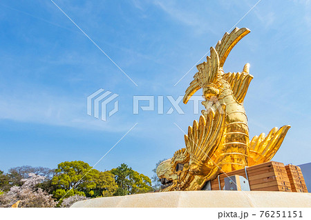 鯱 金の鯱 名古屋城 展示の写真素材 - PIXTA
