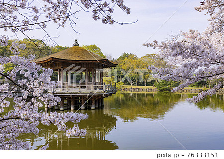奈良公園 桜 浮御堂 春の写真素材 - PIXTA
