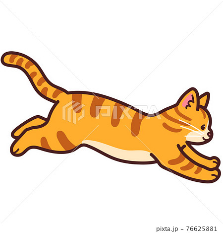 動物 動物 猫 走る イラストの写真素材