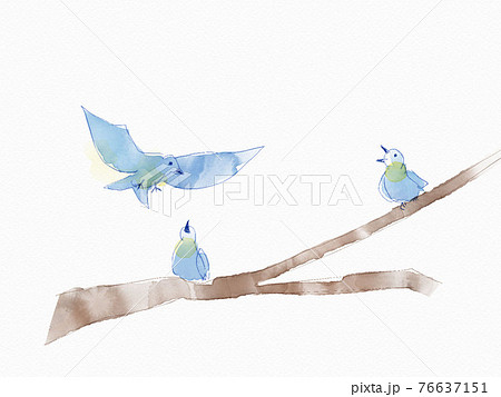 鳥類 渡り鳥 青い鳥 綺麗のイラスト素材