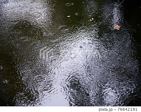 水 雨 波紋 水たまりの写真素材