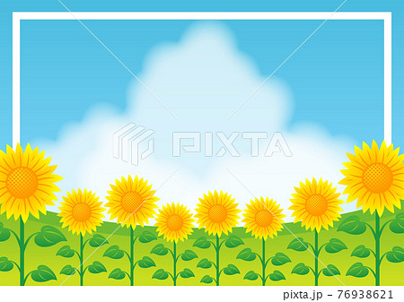 ひまわり畑のイラスト素材集 ピクスタ