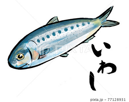 青魚のイラスト素材