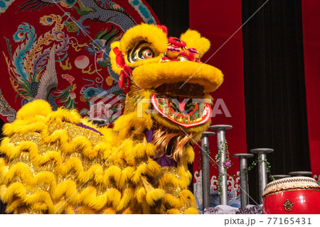 獅子舞 春節 中国獅子舞 かわいいの写真素材