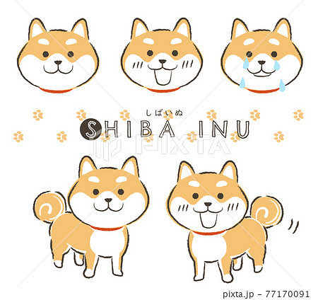 柴犬 かわいいのイラスト素材