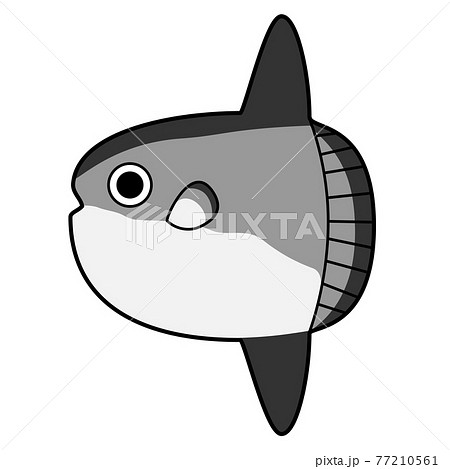 マンボウのイラスト素材集 Pixta ピクスタ