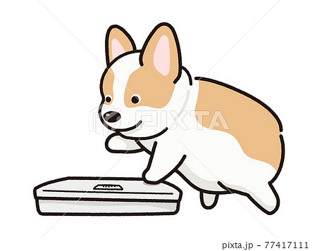 コーギーのイラスト素材集 ピクスタ