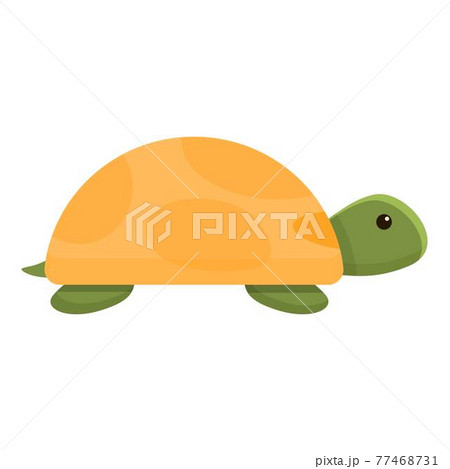 かめ カメ 亀 アイコンのイラスト素材