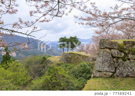 竹田城跡の写真素材
