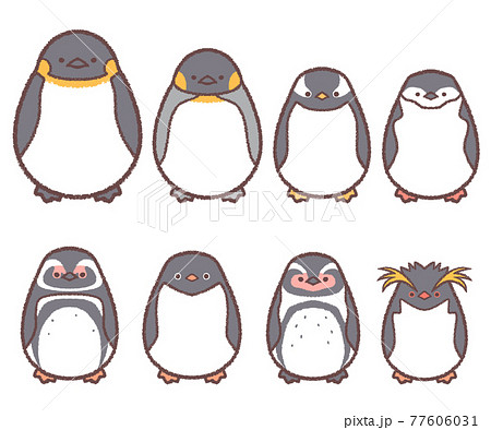 イワトビペンギンのイラスト素材