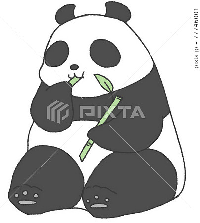 パンダ 笹 動物 食べるのイラスト素材