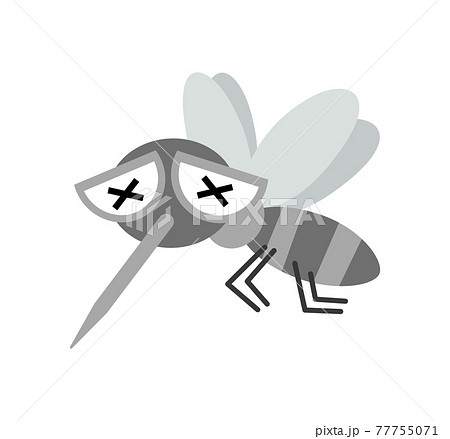 蚊のイラスト素材集 ピクスタ
