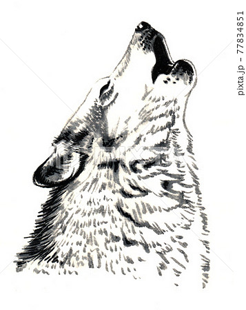 狼犬のイラスト素材