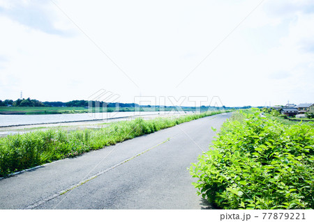 土手 道 道路 河川敷の写真素材