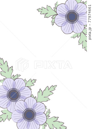 アネモネ イラスト かわいいのイラスト素材 アネモネ イラスト かわいいのイラスト素材