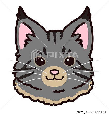 シンプルで可愛い手描きのメインクーンの顔のイラスト 主線ありのイラスト素材