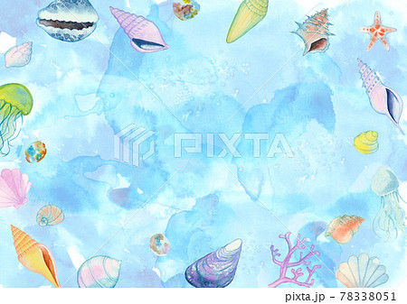 シェル 巻貝 貝殻 貝のイラスト素材