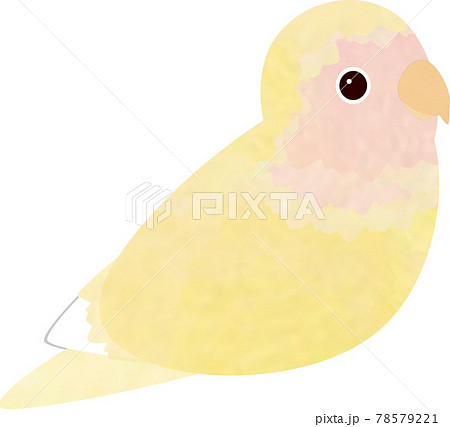 右向き 鳥のイラスト素材