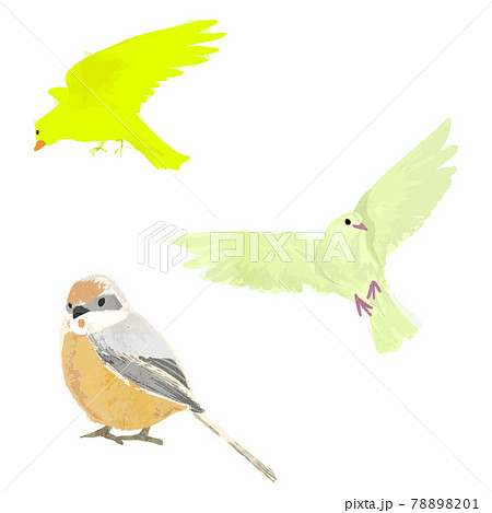 飛んでいる鳥のイラスト素材