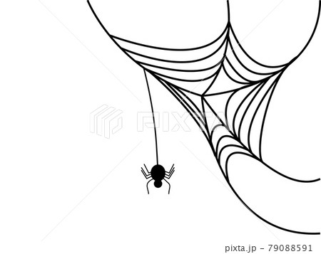 クモ 蜘蛛 のイラスト素材集 ピクスタ