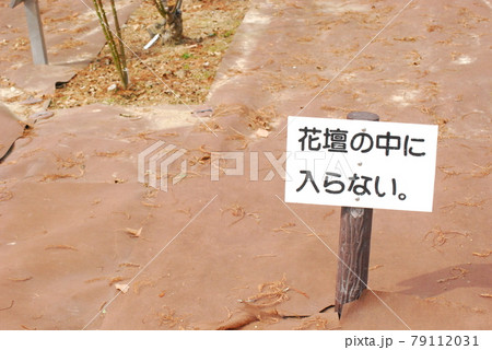 注意標識 花壇看板 花畑標識 花壇標識の写真素材