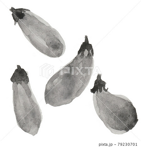 なす 白バック 白黒 野菜のイラスト素材