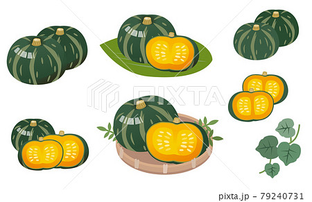 かぼちゃの種のイラスト素材