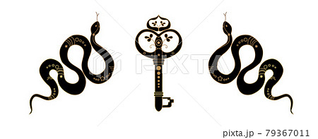 ヘビ柄 へび柄 蛇柄 壁紙のイラスト素材