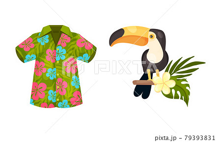 ハワイアン アロハ ビーチ オオハシの写真素材