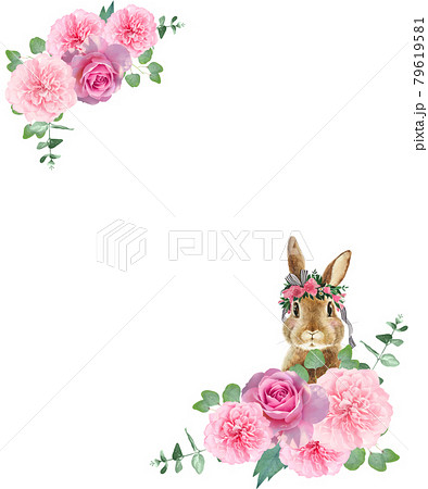 赤ちゃんうさぎのイラスト素材