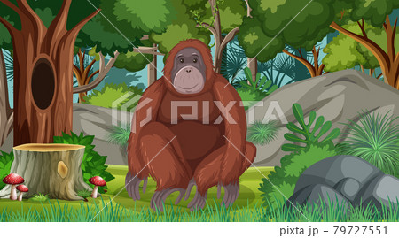 オラウータン かわいいのイラスト素材