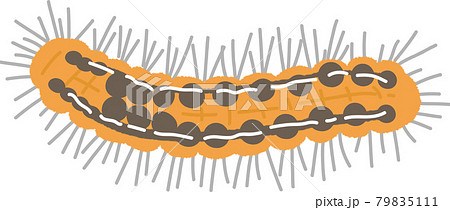 毛虫のイラスト素材