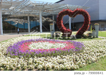 長居植物園 長居公園 ハート 風景の写真素材