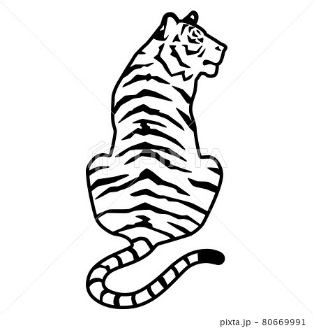タイガー トラ 虎 モノクロのイラスト素材