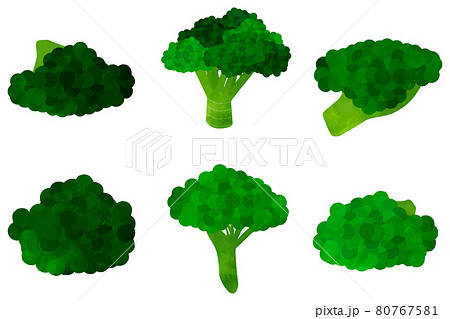 葉 茎野菜のイラスト素材集 ピクスタ