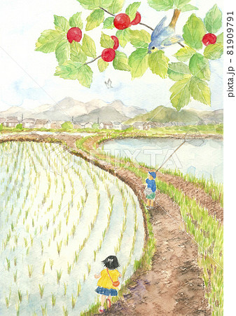 田植えのイラスト素材