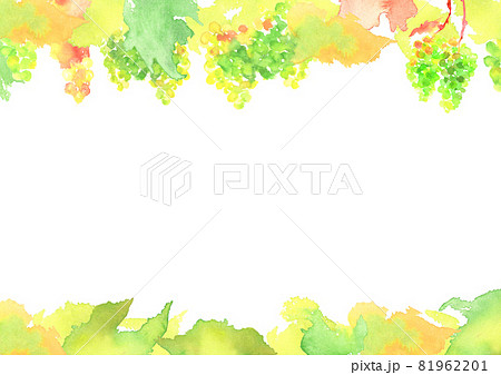 葡萄畑のイラスト素材 - PIXTA