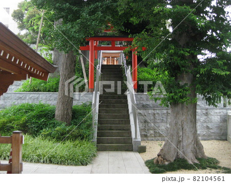 鳥居 藤森神社 風景 建物の写真素材