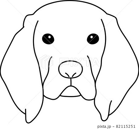 犬 顔 イラスト 手描きの写真素材