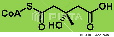 生活習慣病のイラスト素材