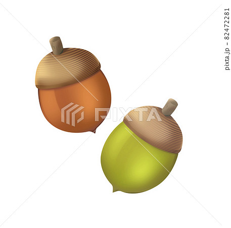 どんぐりのイラスト素材集 ピクスタ