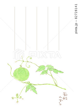 風船葛 実 フウセンカズラ 花のイラスト素材 - PIXTA